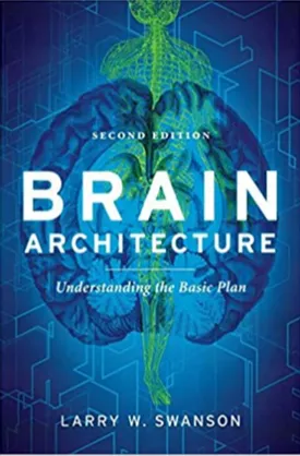 Brain Architecture