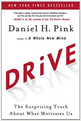 Drive: The Surprising Truth About What Motivates Us