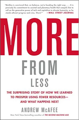 More from Less: The Surprising Story of How We Learned to Prosper Using Fewer Resources—and What Happens Next