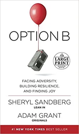 Option B: Facing Adversity, Building Resilience, and Finding Joy