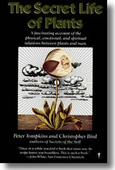 Christopher Bird